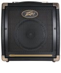 Peavey Ecoustic E20