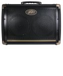 Peavey Ecoustic E208