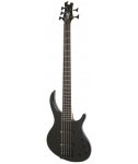 Epiphone Toby Deluxe V Ebony EB gitara basowa