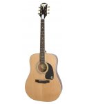 Epiphone PRO-1 Plus Natural NA