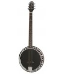 Epiphone Electric Banjo Stagebird 6-string