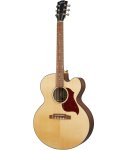 Gibson J-185 EC Modern Walnut Antique Natural