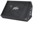 Peavey PV 15M